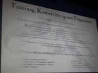 P1050866