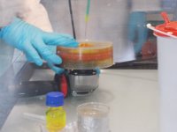 OL 003  3: Rotationsbeschichtung der elektrisch leitfähigen Glasplatte mit in Toluol gelöstem Super Yello