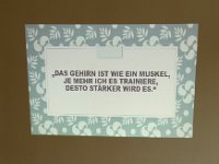 EA7EEA1C-A8A8-44D0-BE0C-97EA4529B678 1 201 a